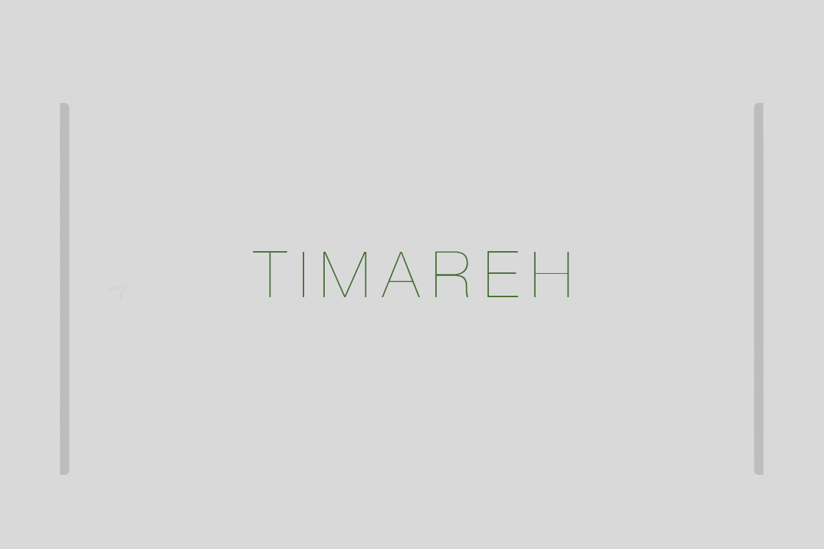 Image for Visual Identity of Timareh
