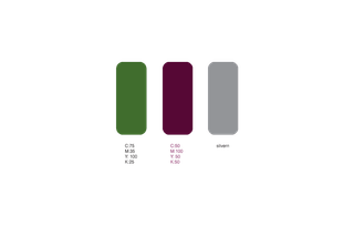 Thumbnail for Visual Identity of Timareh - 2